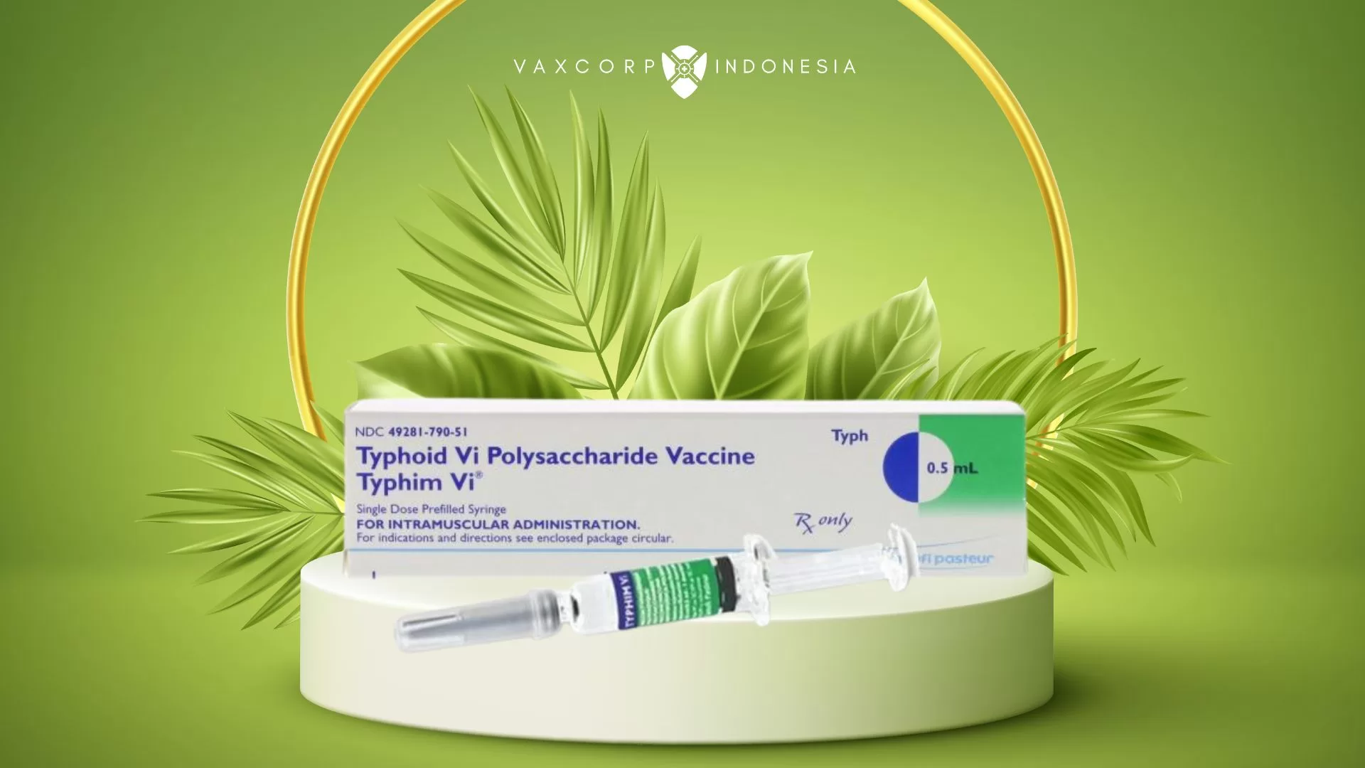 Typhim Vi (Vaksin Tifoid / Vaksin Tipes)