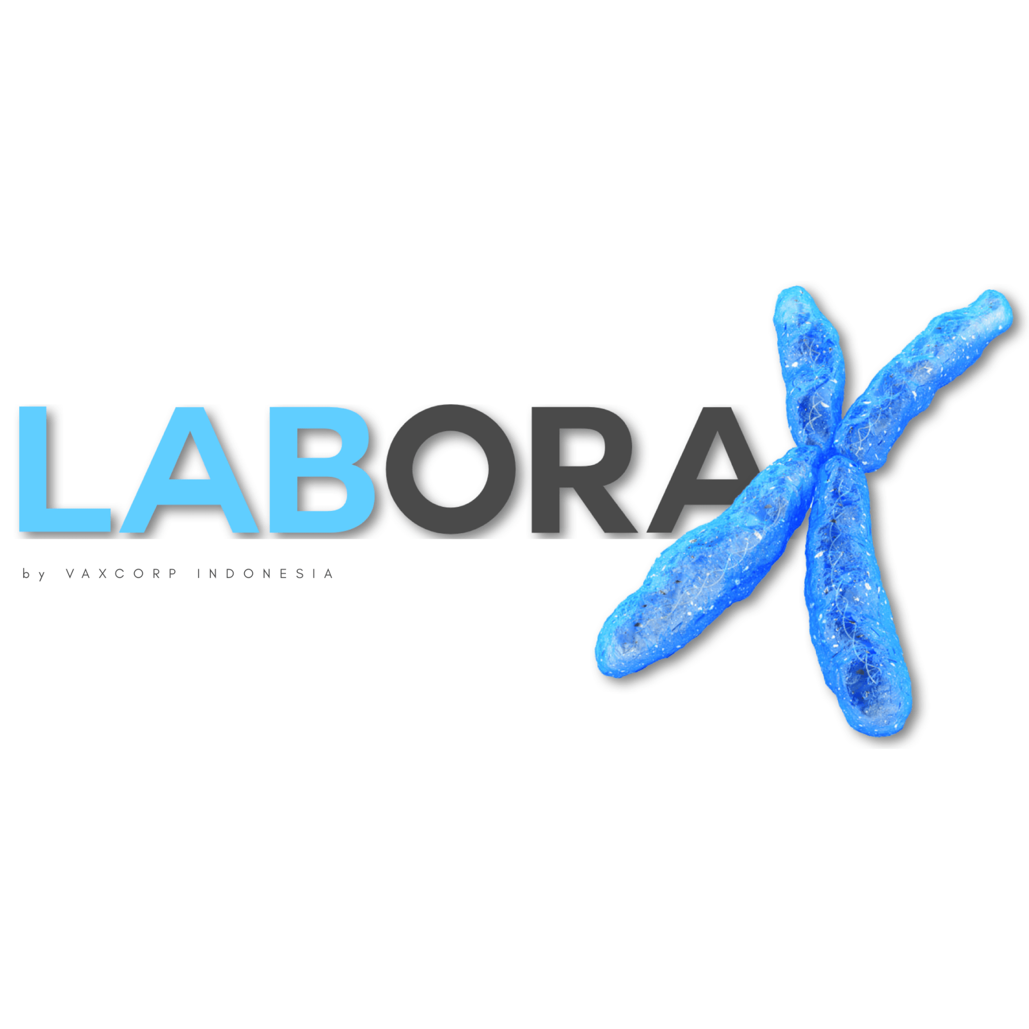 laborax logo square