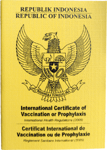 sertifikat vaksinasi internasional