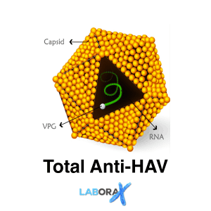total anti hav antibodi hepatitis a