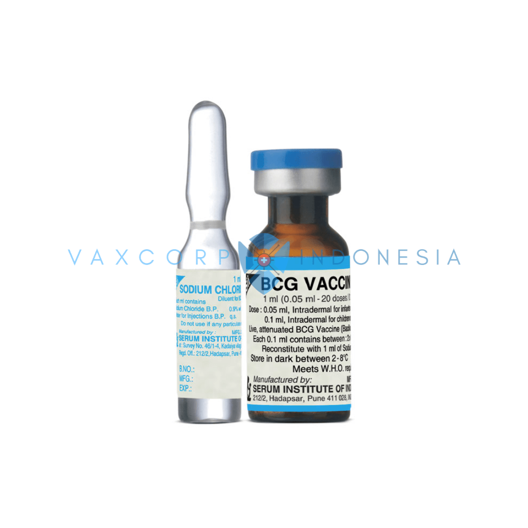 Vaksin BCG SSI Kering
