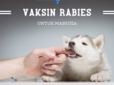 Vaksin Rabies untuk Manusia