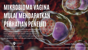 Artikel Kesehatan - Penyakit & Kondisi - Mikrobioma Vagina Mulai Mendapat Perhatian Peneliti