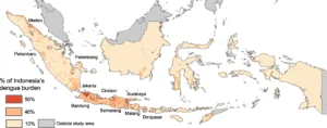 Areas of Dengue Burden In Indonesia