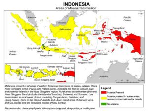 Areas of Malaria Transmission in Indonesia